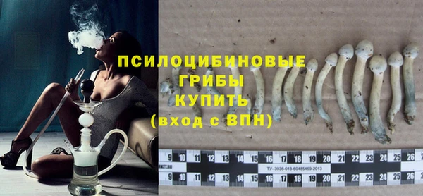 PSILOCYBIN Киреевск
