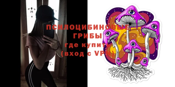 PSILOCYBIN Киреевск