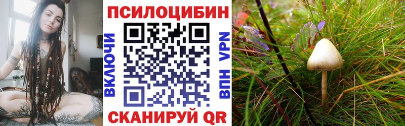 Купить закладки  Вяземский  Псилоцибиновые грибы прущие грибы 